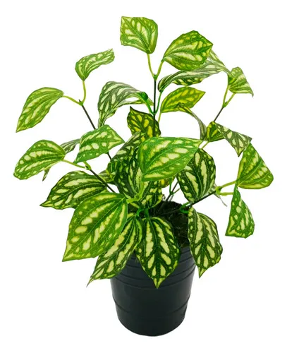 Producto Ramo Artificial Jardin Vertical Planta Decorativa Imagen