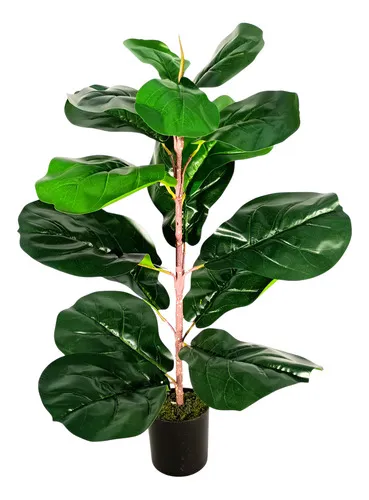 Producto Planta Artificial 60cm Ficus Decoracion Interior Exterior Color Verde Oscuro Imagen