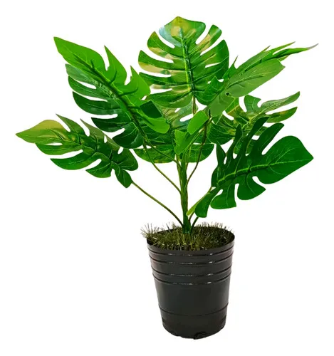 Producto Jardin Vertical Artificial Planta Para Maceta X3u Decoración Imagen